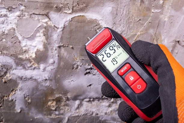 Best Office Mold Removal Services  in Clay City, IN