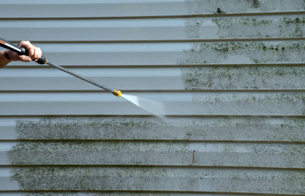 Best Mold Removal Process  in Clay City, IN