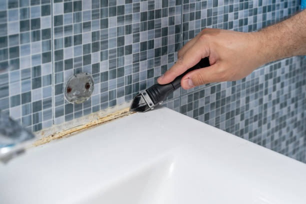Best Mold Damage Repair  in Clay City, IN